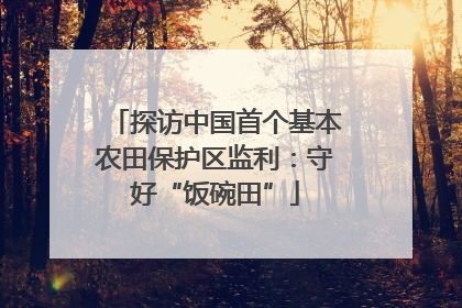 探访中国首个基本农田保护区监利：守好“饭碗田”