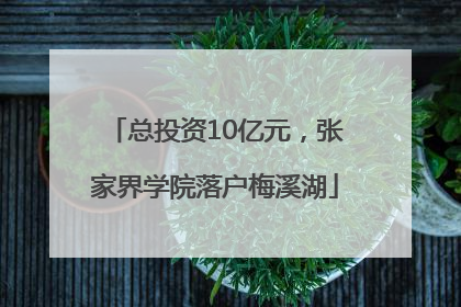 总投资10亿元，张家界学院落户梅溪湖