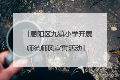 恩阳区九镇小学开展师德师风宣誓活动