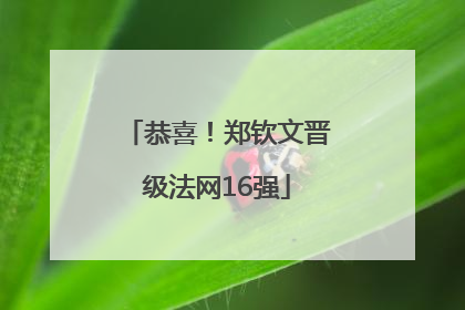 恭喜！郑钦文晋级法网16强