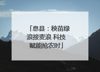 息县：秧苗绿浪接麦浪 科技赋能抢农时