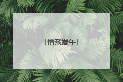 情系端午