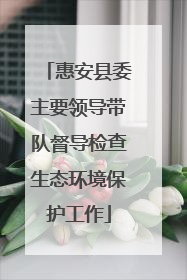 惠安县委主要领导带队督导检查生态环境保护工作