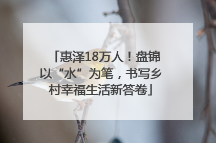 惠泽18万人！盘锦以“水”为笔，书写乡村幸福生活新答卷