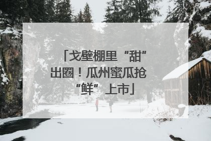 戈壁棚里“甜”出圈！瓜州蜜瓜抢“鲜”上市