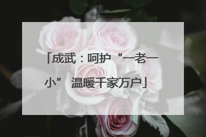 成武：呵护“一老一小” 温暖千家万户
