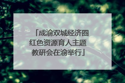 成渝双城经济圈红色资源育人主题教研会在渝举行