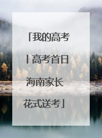 我的高考丨高考首日 海南家长花式送考
