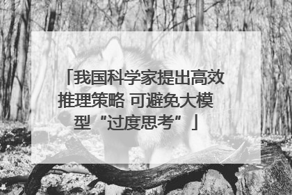 我国科学家提出高效推理策略 可避免大模型“过度思考”