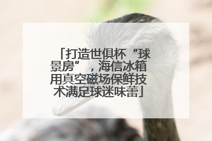打造世俱杯“球景房”，海信冰箱用真空磁场保鲜技术满足球迷味蕾