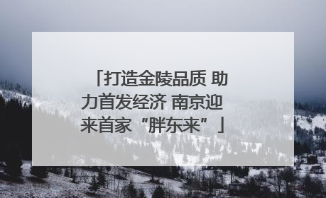 打造金陵品质 助力首发经济 南京迎来首家“胖东来”