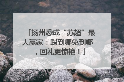 扬州恐成“苏超”最大赢家：踢到哪免到哪，回礼更惊艳！