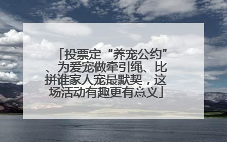 投票定“养宠公约”、为爱宠做牵引绳、比拼谁家人宠最默契，这场活动有趣更有意义
