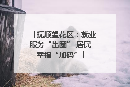 抚顺望花区：就业服务“出圈” 居民幸福“加码”