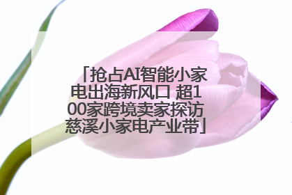 抢占AI智能小家电出海新风口 超100家跨境卖家探访慈溪小家电产业带