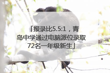 报录比5.5:1，青岛中学通过电脑派位录取72名一年级新生