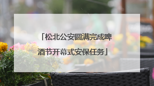 松北公安圆满完成啤酒节开幕式安保任务