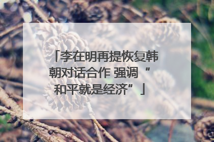 李在明再提恢复韩朝对话合作 强调“和平就是经济”