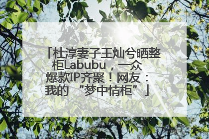杜淳妻子王灿兮晒整柜Labubu，一众爆款IP齐聚！网友：我的 “梦中情柜”
