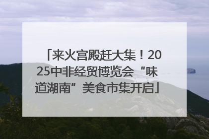来火宫殿赶大集！2025中非经贸博览会“味道湖南”美食市集开启