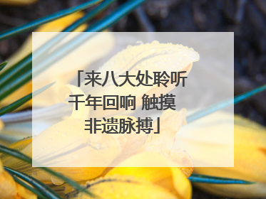 来八大处聆听千年回响 触摸非遗脉搏