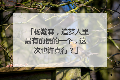杨瀚森，追梦人里最有前景的一个，这次也许真行？