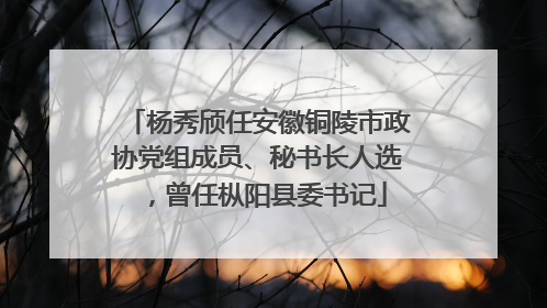 杨秀颀任安徽铜陵市政协党组成员、秘书长人选，曾任枞阳县委书记