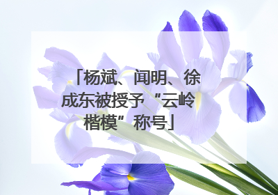 杨斌、闻明、徐成东被授予“云岭楷模”称号