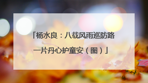 杨水良：八载风雨巡防路 一片丹心护童安（图）