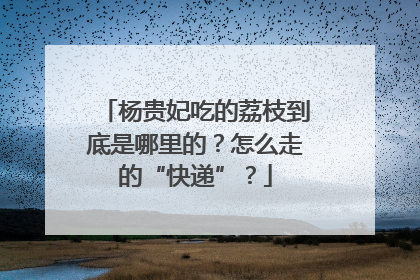 杨贵妃吃的荔枝到底是哪里的？怎么走的“快递”？