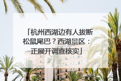 杭州西湖边有人拔断松鼠尾巴？西湖景区：正展开调查核实