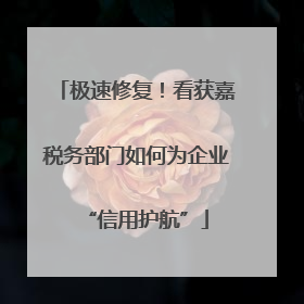 极速修复！看获嘉税务部门如何为企业“信用护航”
