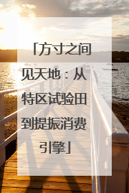 方寸之间见天地：从特区试验田到提振消费引擎