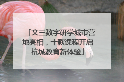 文三数字研学城市营地亮相，十款课程开启杭城教育新体验