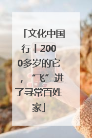 文化中国行丨2000多岁的它，“飞”进了寻常百姓家