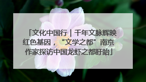 文化中国行｜千年文脉辉映红色基因，“文学之都”南京作家探访中国龙虾之都盱眙