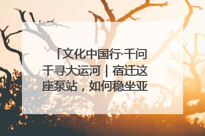 文化中国行·千问千寻大运河｜宿迁这座泵站，如何稳坐亚洲第一宝座？