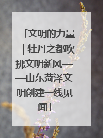 文明的力量｜牡丹之都吹拂文明新风——山东菏泽文明创建一线见闻