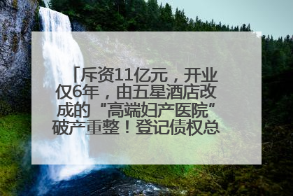 斥资11亿元，开业仅6年，由五星酒店改成的“高端妇产医院”破产重整！登记债权总额已超17亿元