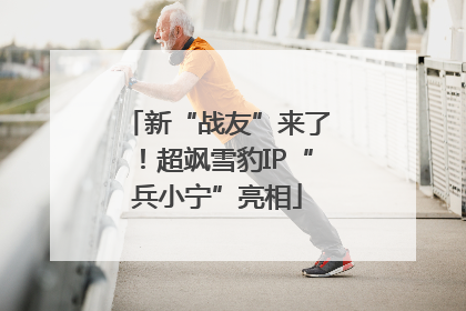 新“战友”来了！超飒雪豹IP“兵小宁”亮相
