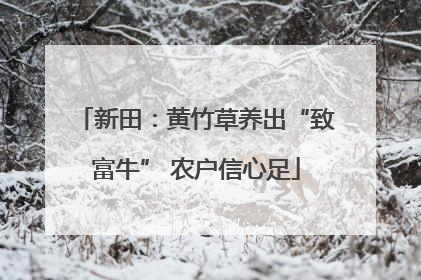 新田：黄竹草养出“致富牛” 农户信心足
