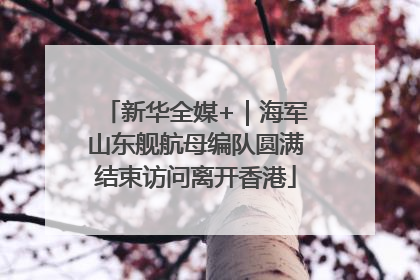 新华全媒+｜海军山东舰航母编队圆满结束访问离开香港