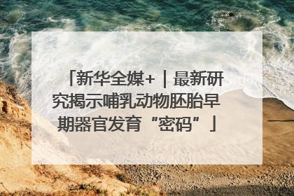 新华全媒+｜最新研究揭示哺乳动物胚胎早期器官发育“密码”