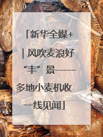 新华全媒+｜风吹麦浪好“丰”景——多地小麦机收一线见闻