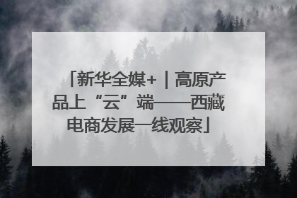 新华全媒+｜高原产品上“云”端——西藏电商发展一线观察