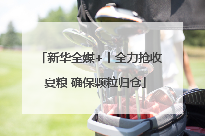 新华全媒+丨全力抢收夏粮 确保颗粒归仓