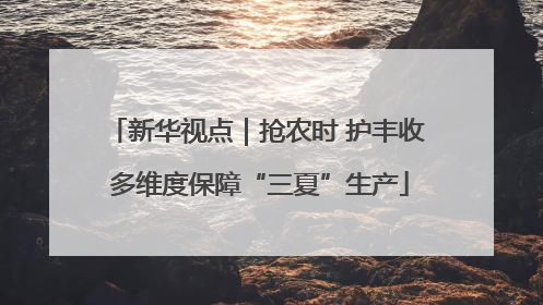 新华视点｜抢农时 护丰收 多维度保障“三夏”生产
