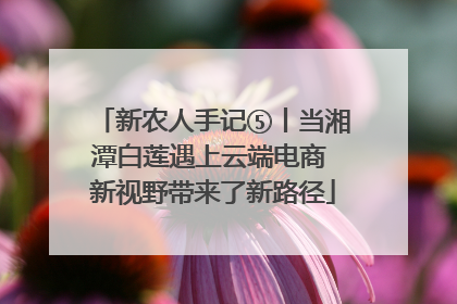 新农人手记⑤丨当湘潭白莲遇上云端电商 新视野带来了新路径