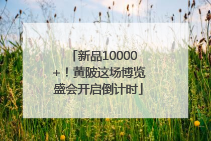 新品10000+！黄陂这场博览盛会开启倒计时