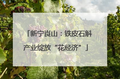新宁崀山：铁皮石斛产业绽放“花经济”